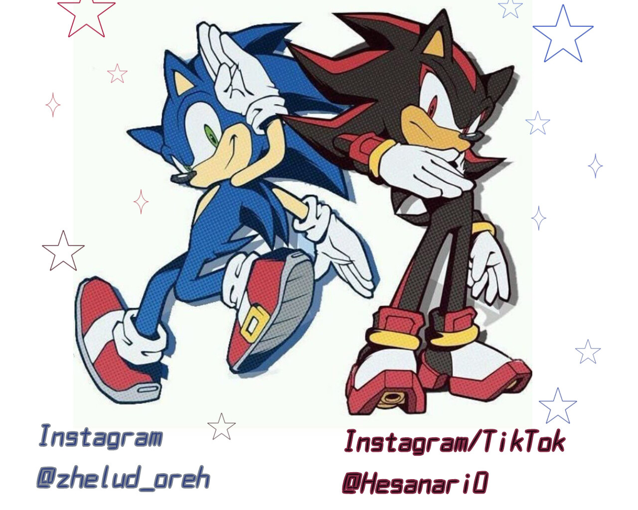 Sonic x Shadow