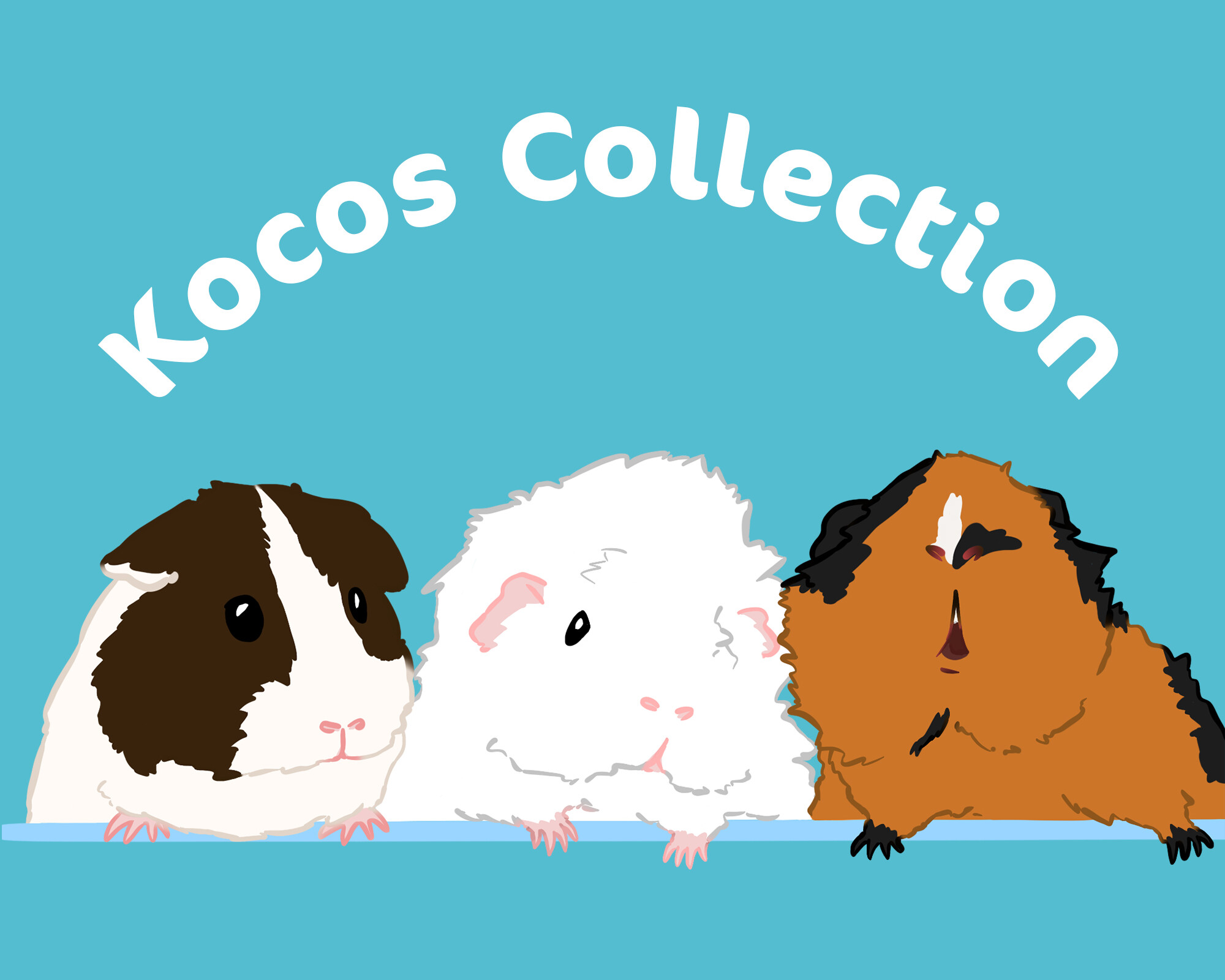Kocos Collection